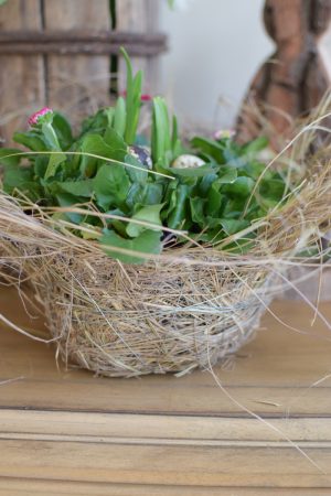 Übertopf natur. Deko Dekoidee mit Naturmaterialien. Naturtopf Übertopf im Mrs Greenery Shop bestellen kaufen