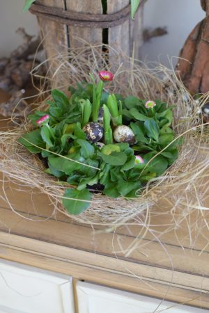 Übertopf natur. Deko Dekoidee mit Naturmaterialien. Naturtopf Übertopf im Mrs Greenery Shop bestellen kaufen