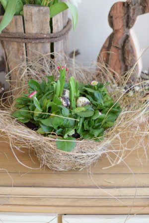 Übertopf natur. Deko Dekoidee mit Naturmaterialien. Naturtopf Übertopf im Mrs Greenery Shop bestellen kaufen