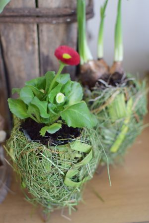 Übertopf Greenery Ei. Eier Topf Natur grün Naturdeko Deko Dekoidee mit Naturmaterialien im Mrs Greenery Shop bestellen kaufen