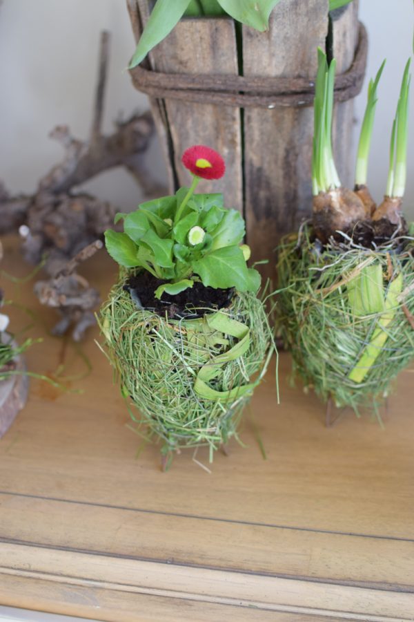 Übertopf Greenery Ei. Eier Topf Natur grün Naturdeko Deko Dekoidee mit Naturmaterialien im Mrs Greenery Shop bestellen kaufen