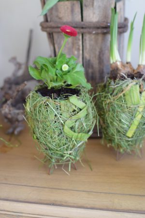 Übertopf Greenery Ei. Eier Topf Natur grün Naturdeko Deko Dekoidee mit Naturmaterialien im Mrs Greenery Shop bestellen kaufen