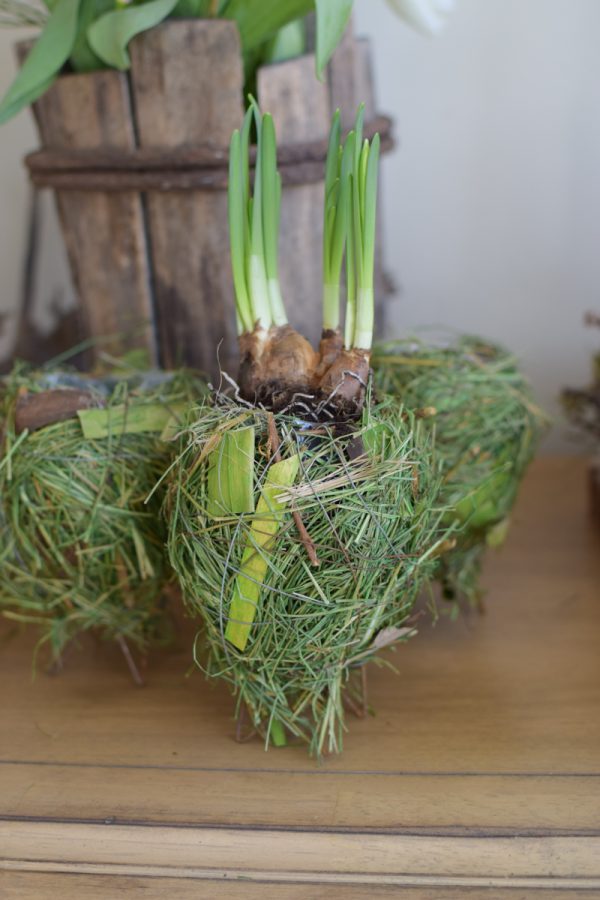 Übertopf Greenery Ei. Eier Topf Natur grün Naturdeko Deko Dekoidee mit Naturmaterialien im Mrs Greenery Shop bestellen kaufen