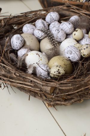 Nest Osternest aus Zweigen Ästen Dekonest Osterdeko Osteridee Nester im Mrs Greenery Shop bestellen kaufen