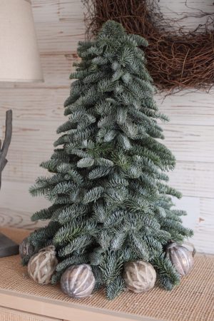 Nobilis Tanne frisch echt 40 cm handarbeit weihnachtsbaum tannenbaum Weihnachstdeko im Mrs Greenery Shop bestellen