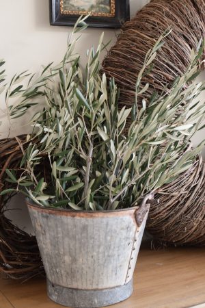 Ein Bund Olive Olivenzweige Naturdeko Naturmaterial 1 Bund im Mrs Greenery Shop bestellen