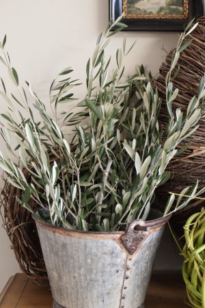 Ein Bund Olive Olivenzweige Naturdeko Naturmaterial 1 Bund im Mrs Greenery Shop bestellen
