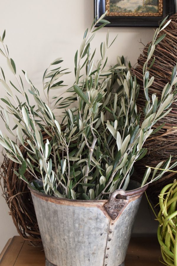 Ein Bund Olive Olivenzweige Naturdeko Naturmaterial 1 Bund im Mrs Greenery Shop bestellen