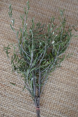 Olive Olivenzweig Bund getrocknet Trockenblumen im Mrs Greenery Shop kaufen bestellen Naturdeko Naturmaterialien basteln kreativsein