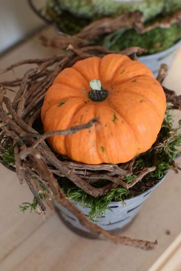 Herbstdeko mit orangenen Baby Boo. Deko Herbst mit Naturmaterialien