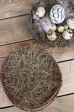 Osterdeko Ostereier Eierdeko Eier Dekoidee Ostern Naturdeko im Mrs Greenery Shop bestellen kaufen