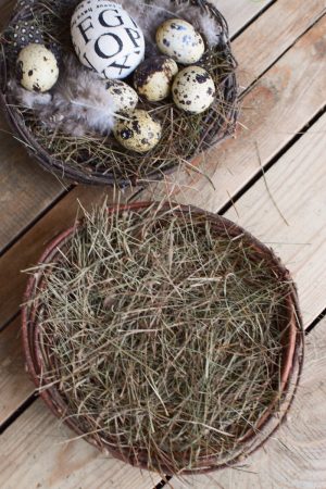 Osterdeko Ostereier Eierdeko Eier Dekoidee Ostern Naturdeko im Mrs Greenery Shop bestellen kaufen