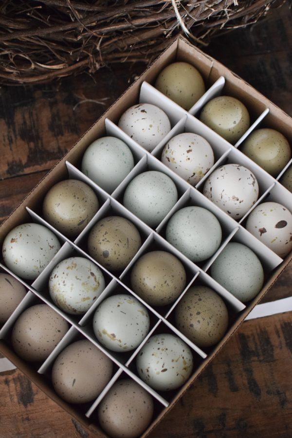 Ostereier Osterdeko gefärbt pastell mix Ostern Osterdeko Dekoeier Hühnereier im Mrs Greenery Shop bestellen