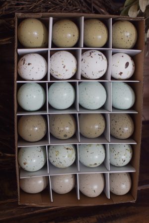 Ostereier Osterdeko gefärbt pastell mix Ostern Osterdeko Dekoeier Hühnereier im Mrs Greenery Shop bestellen