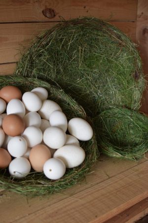 Grasnest Osternest Dekonest aus gefärbtem Gras. Grasnest Osterdeko