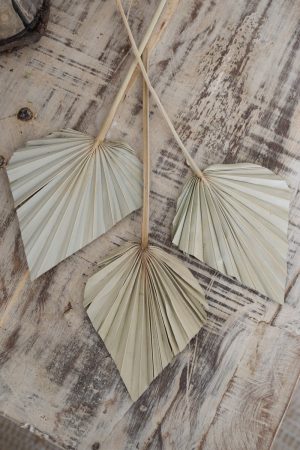Palmblatt mini Set getrocknet Sommerdeko Trockenblumen im Mrs Greenery Shop bestellen kaufen