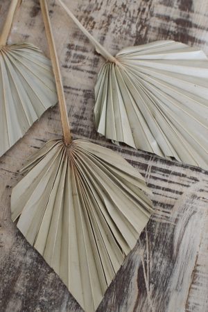 Palmblatt mini Set getrocknet Sommerdeko Trockenblumen im Mrs Greenery Shop bestellen kaufen