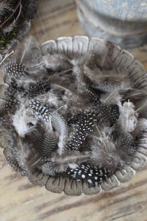 Perlhuhnfedern Federn Naturdeko Osterdeko kreativ kreativsein Ostern im Mrs Greenery Shop bestellen