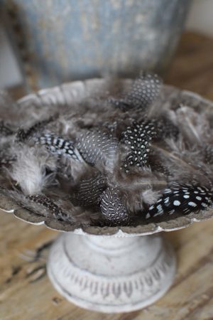 Perlhuhnfedern Federn Naturdeko Osterdeko kreativ kreativsein Ostern im Mrs Greenery Shop bestellen
