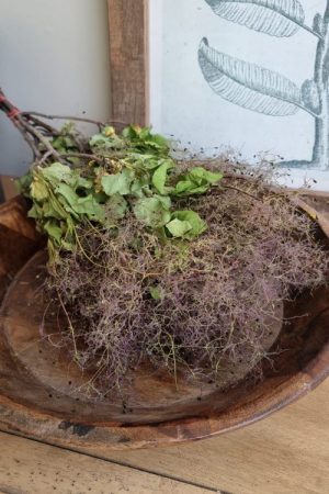 Perückenstrauch getrocknet Trockenblumen Kranzbinden kreativmaterial kreativsein kränze im mrs greenery shop bestellen kaufen