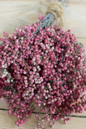 Rosa Pfefferbeeren kaufen bei Mrs Greenery: Ein Bund getrocknet. Für deine kreativen Naturdekos. Kreativsein mit Naturmaterialien Trockenblumen