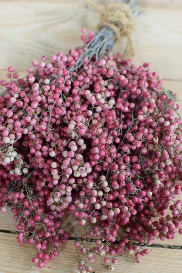 Rosa Pfefferbeeren kaufen bei Mrs Greenery: Ein Bund getrocknet. Für deine kreativen Naturdekos. Kreativsein mit Naturmaterialien Trockenblumen