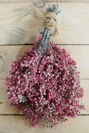 Rosa Pfefferbeeren kaufen bei Mrs Greenery: Ein Bund getrocknet. Für deine kreativen Naturdekos. Kreativsein mit Naturmaterialien Trockenblumen