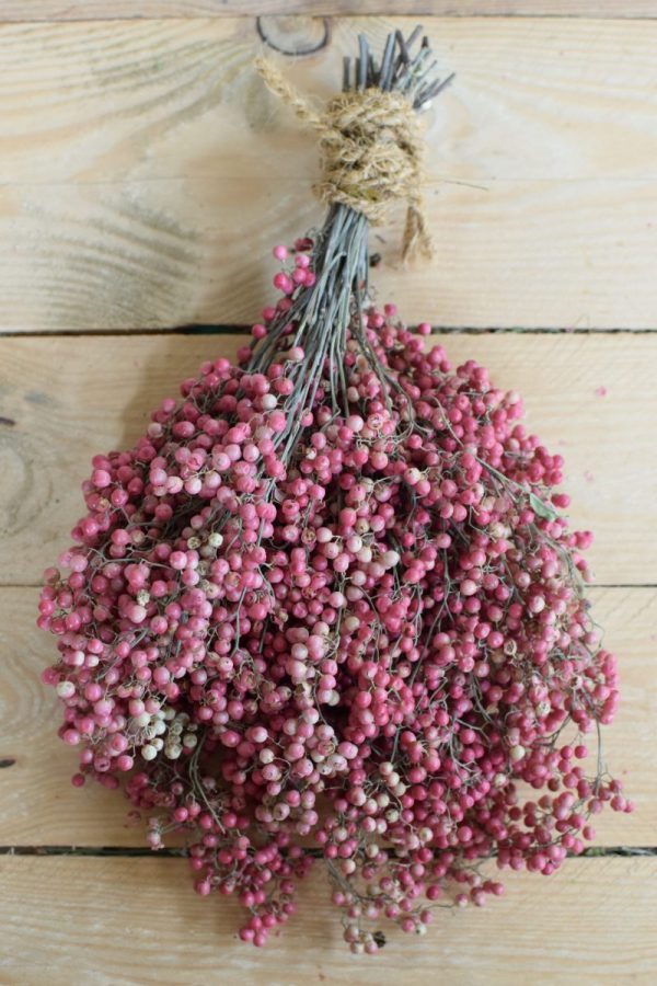 Rosa Pfefferbeeren kaufen bei Mrs Greenery: Ein Bund getrocknet. Für deine kreativen Naturdekos. Kreativsein mit Naturmaterialien Trockenblumen