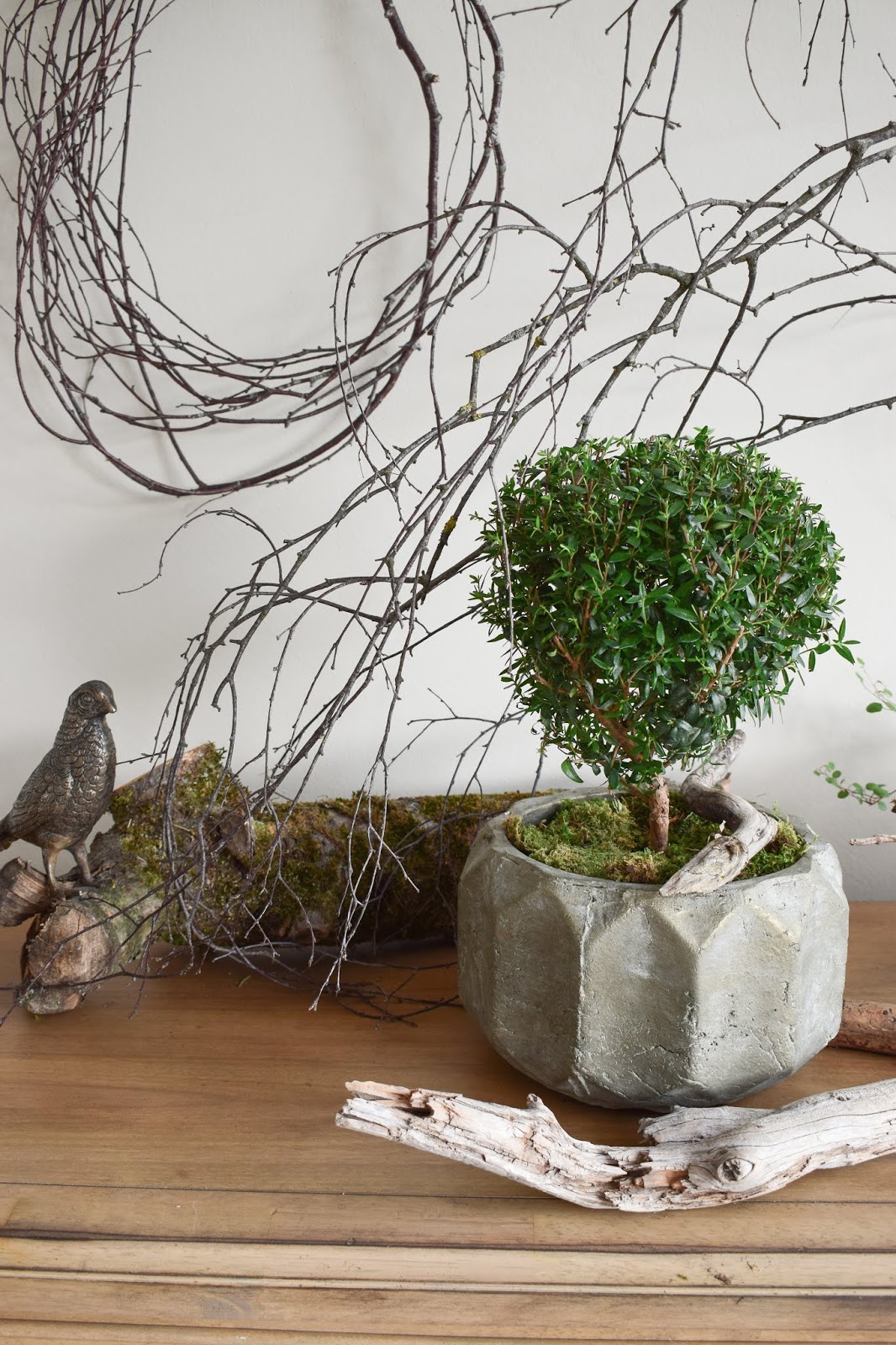 So dekoriert ihr Pflanzen in bertpfen ganz natrlich und einfach! | DIY,  Blumen & Naturdeko | Mrs Greenery