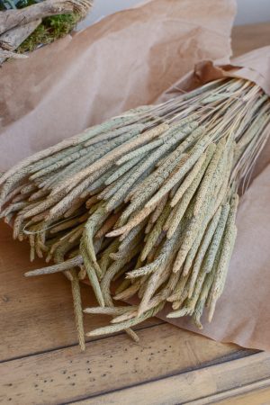 Trockenblume Phleum Lieschgras Lieschgräser. Gras Gräser getrocknet Naturdeko mit Trockenblumen vom Mrs Greenery Shop