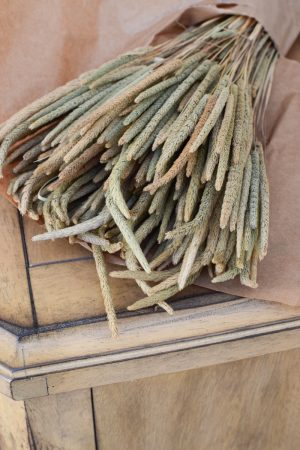 Trockenblume Phleum Lieschgras Lieschgräser. Gras Gräser getrocknet Naturdeko mit Trockenblumen vom Mrs Greenery Shop
