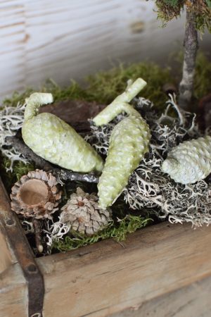 Pinienzapfen mini grün gewachst Winterdeko Zapfen Pinie Weihnachten im Mrs Greenery Shop bestellen