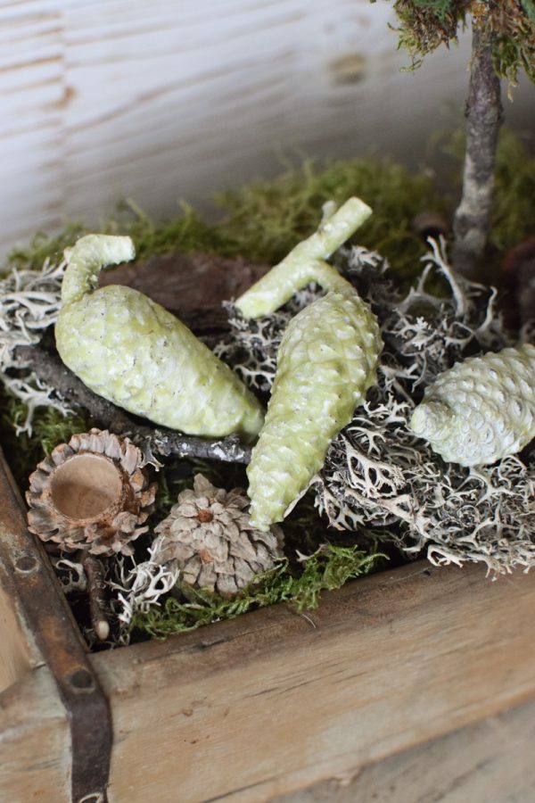 Pinienzapfen mini grün gewachst Winterdeko Zapfen Pinie Weihnachten im Mrs Greenery Shop bestellen