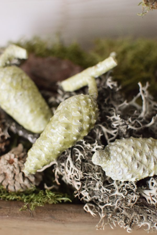Pinienzapfen mini grün gewachst Winterdeko Zapfen Pinie Weihnachten im Mrs Greenery Shop bestellen