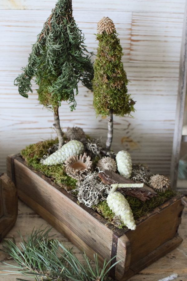 Pinienzapfen mini grün gewachst Winterdeko Zapfen Pinie Weihnachten im Mrs Greenery Shop bestellen