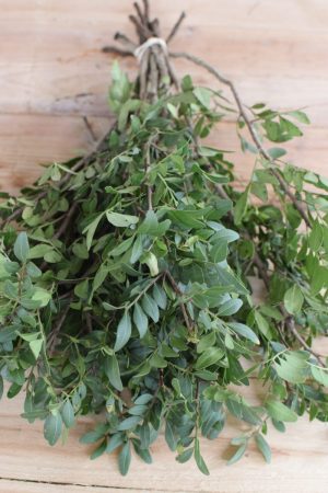 Pistaziengrün Bund kaufen und dekorieren. Naturdeko selber machen. Natürlich dekorieren und Kränze binden. Die Alternative zu Buchs
