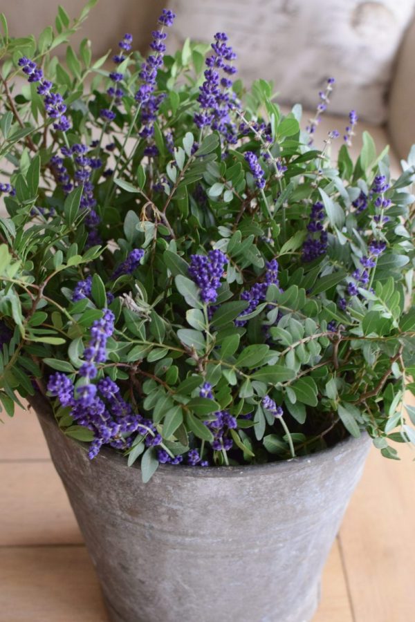 Kreativsein mit Pistaziengrün und Lavendel. Dekoidee mit Natur Strauß einfach selber machen