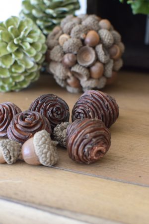 Platyspermum Spiralzapfen Herbstdeko Weihnachtsdeko Zapfen getrocknet im Mrs Greenery Shop bestellen