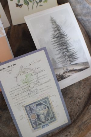 Postkarten Set 5 Stück mit Umschlag. Papeterie Flora Fauna Natur Noten Nostalgie Pilze Motive natürlich Naturdeko im Mrs Greenery Shop bestellen