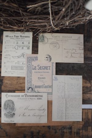 Postkarten Set 5 Stück mit Umschlag. Papeterie Flora Fauna Natur Noten Nostalgie Pilze Motive natürlich Naturdeko im Mrs Greenery Shop bestellen