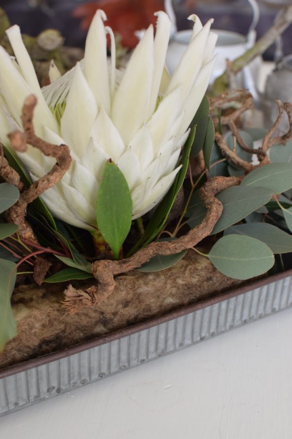 Protea Arctic weiß mit Eukalyptus Populus Früchte als Tischdeko mit Bio-Steckschaum dekoriert gestaltet. Jetzt im Mrs Greenery Shop entdecken kaufen bestellen
