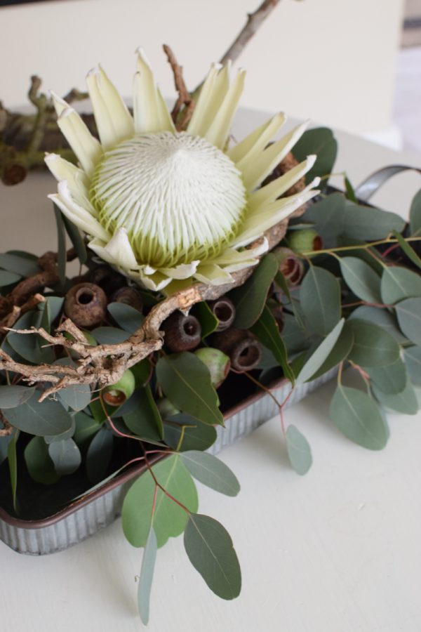 Protea Arctic weiß mit Eukalyptus Populus Früchte als Tischdeko mit Bio-Steckschaum dekoriert gestaltet. Jetzt im Mrs Greenery Shop entdecken kaufen bestellen