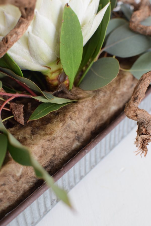 Protea Arctic weiß mit Eukalyptus Populus Früchte als Tischdeko mit Bio-Steckschaum dekoriert gestaltet. Jetzt im Mrs Greenery Shop entdecken kaufen bestellen