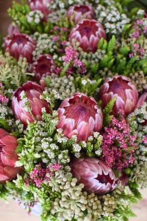 Protea die Trendblume. Proteen trocknen toll ein und können immer wieder dekoriert werden. Bouquet Arrangement STrauss