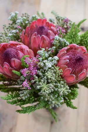 Protea die Trendblume. Proteen trocknen toll ein und können immer wieder dekoriert werden. Bouquet Arrangement STrauss