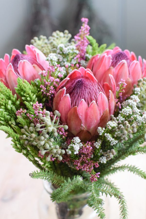 Protea die Trendblume. Proteen trocknen toll ein und können immer wieder dekoriert werden. Bouquet Arrangement STrauss