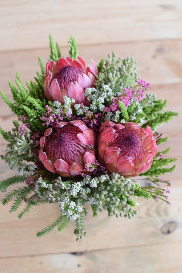 Protea die Trendblume. Proteen trocknen toll ein und können immer wieder dekoriert werden. Bouquet Arrangement STrauss