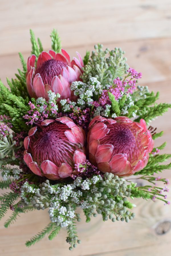Protea die Trendblume. Proteen trocknen toll ein und können immer wieder dekoriert werden. Bouquet Arrangement STrauss