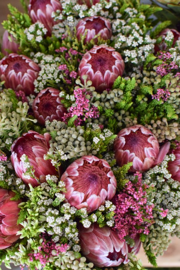Protea die Trendblume. Proteen trocknen toll ein und können immer wieder dekoriert werden. Bouquet Arrangement STrauss