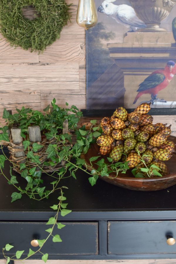 Raphia Palmenfrucht Zapfen Dekozapfen exotisch zapfendeko Trockenblumen Fruchtstand im Mrs Greenery Shop bestellen